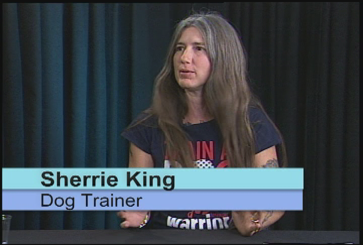 Thumbnail image for Law, Your Money & You: Service Dogs