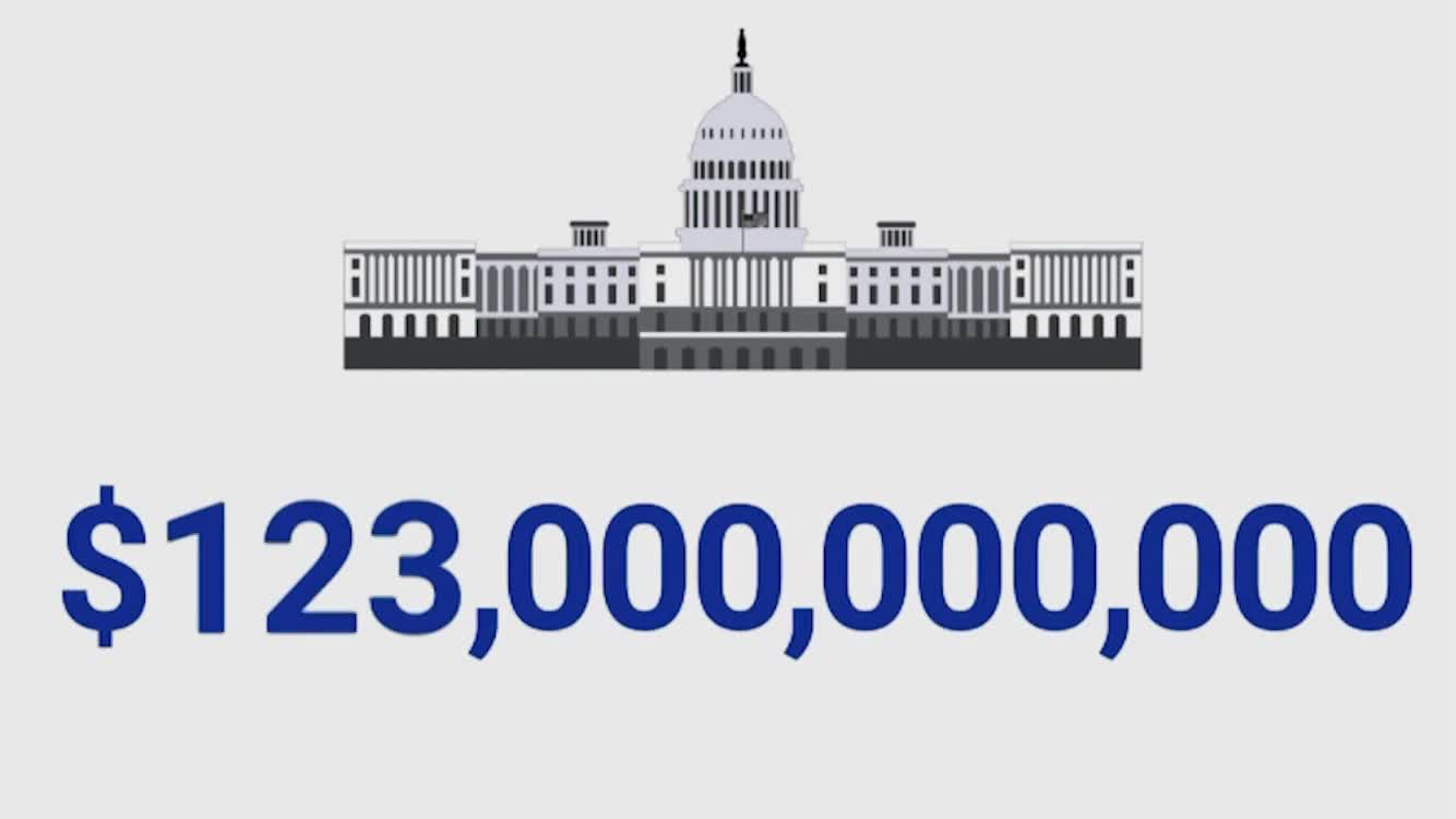 Thumbnail image for Census 2020 PSA 2