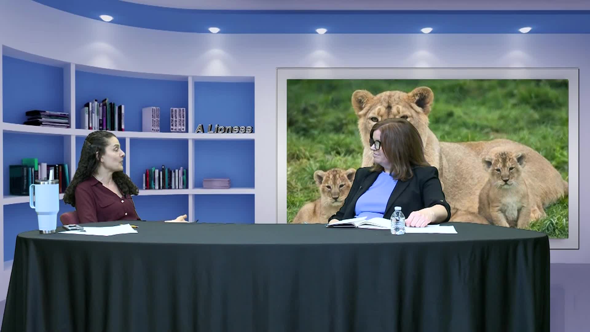 Lioness_03-19-26_Lori Jacques