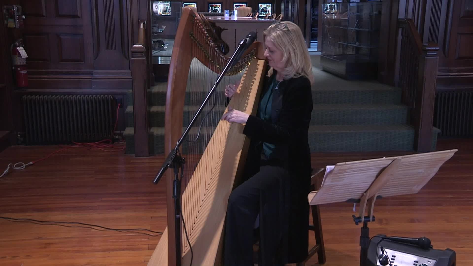 Thumbnail image for Concerts at the Crane: Áine Minogue