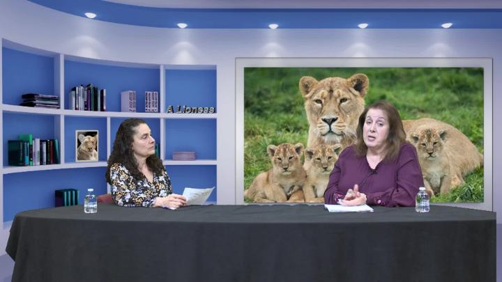 Thumbnail image for A Lioness & You on the Watch: Interview With Select Board Candidate Stephanie Carrara